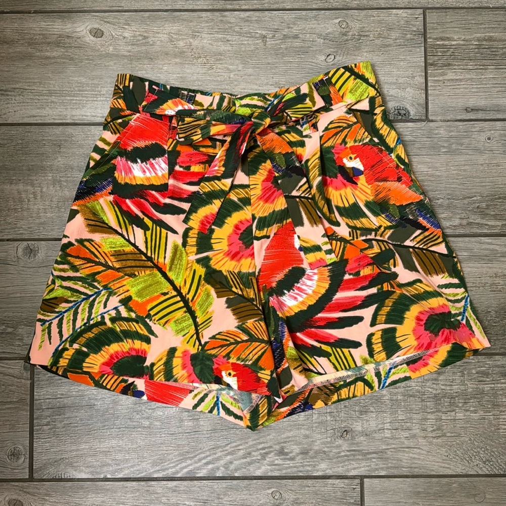 New! Macaw parrot tropical palm shorts🦜🌴